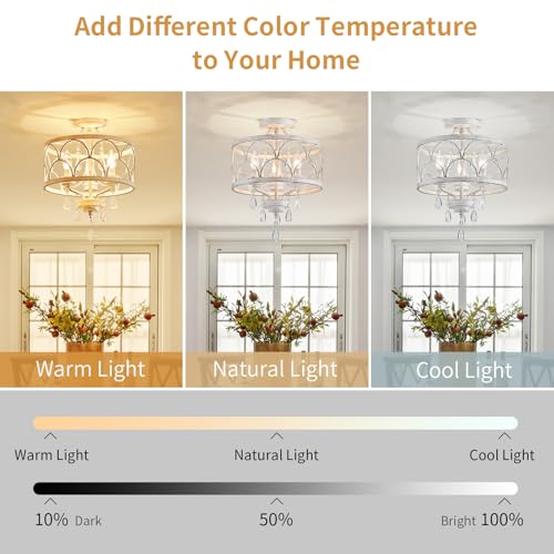 Crystal Ceiling Light Fixture