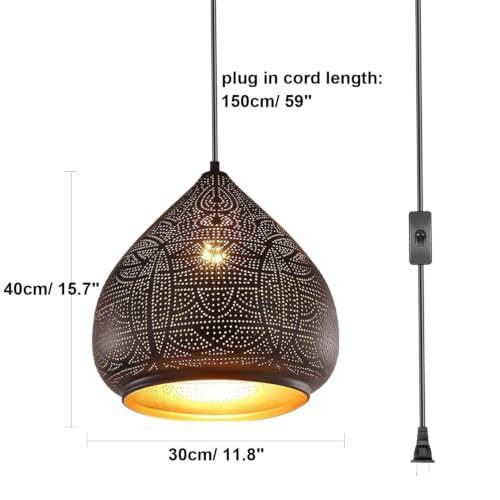 Black Hanging Lamp 2