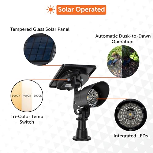 Tri Color Progressive Solar LED Spotlight with 100 Lumens
