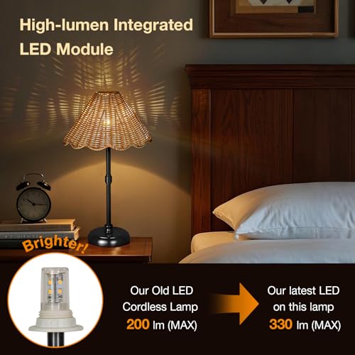Cordless Boho Rattan Table Lamp Black