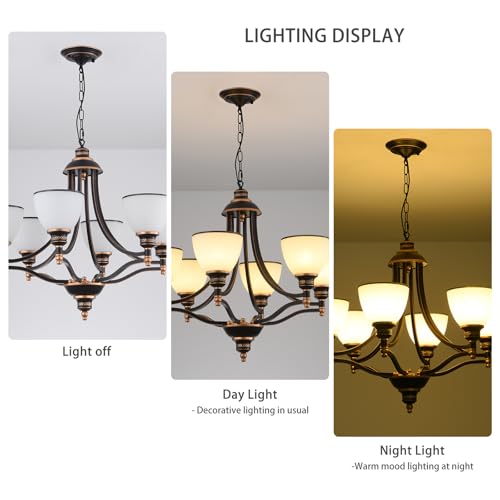 6 Light Chandelier