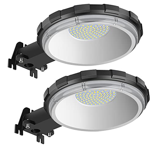 100W LED Barn Light with 10KLM 5000K Daylight