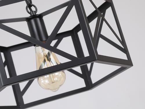 Rustic Farmhouse Plug in Pendant Light Fixture with Adjustable Chain