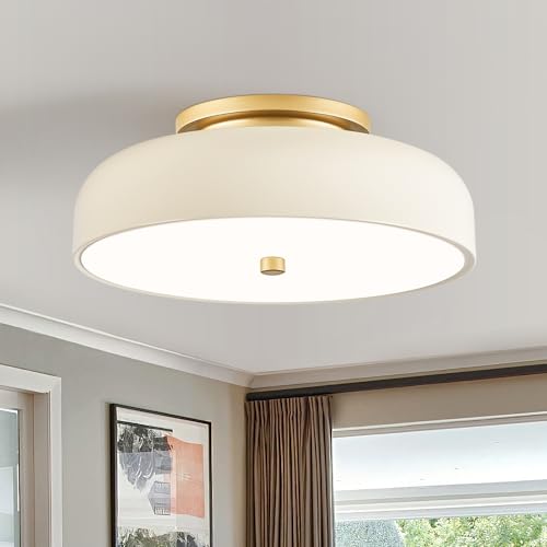 Dimmable LED Ceiling Light Fixture