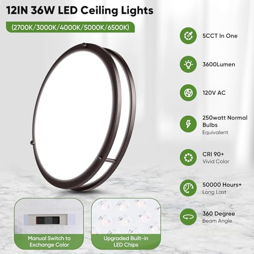 2 Pack 36W LED Ceiling Lights (2 Count)
