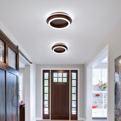 Round Modern Led Ceiling Light Fixture