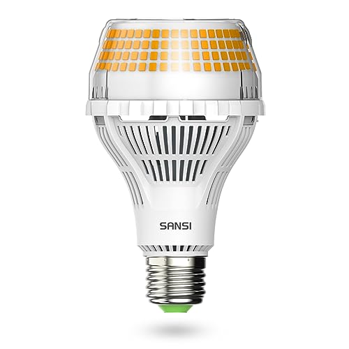 400W Equivalent A21 LED Light Bulb