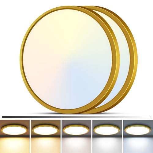 2Pack LED Flush Mount Ceiling Light (2 Count)