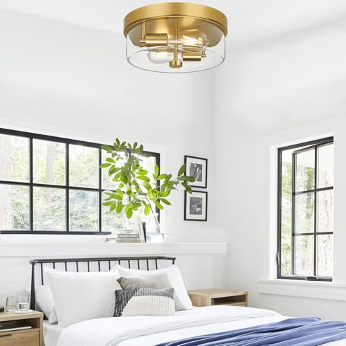 Flush Mount Ceiling Light Fixtures