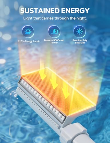 Solar Pool Fountain with 10