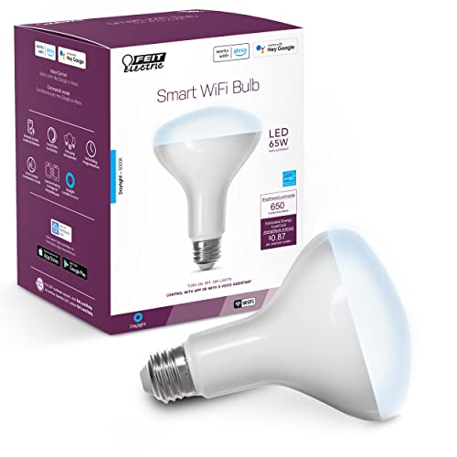 BR30 Smart Flood Light Bulb
