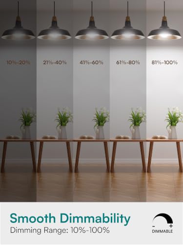 Dimmable LED Light Bulbs 40W Eq (6 Count)