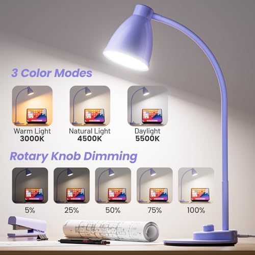 LED Desk Lamp with USB Charging Port