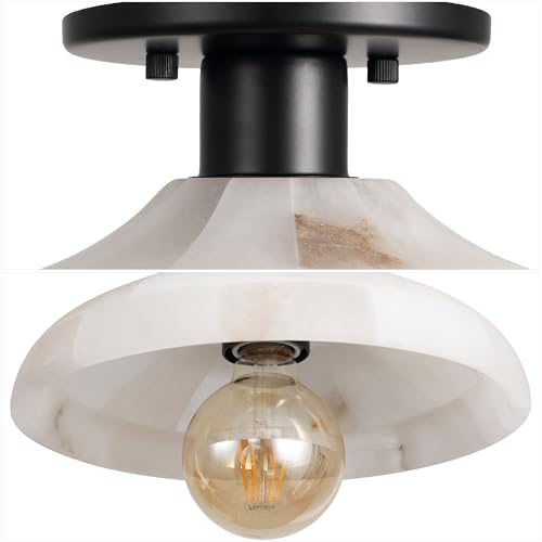 Amara 1 Light Semi Flush Mount Metal 10"