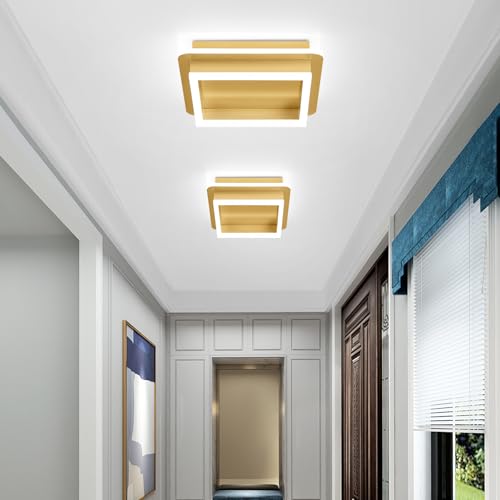 Square LED Hallway Ceiling Light