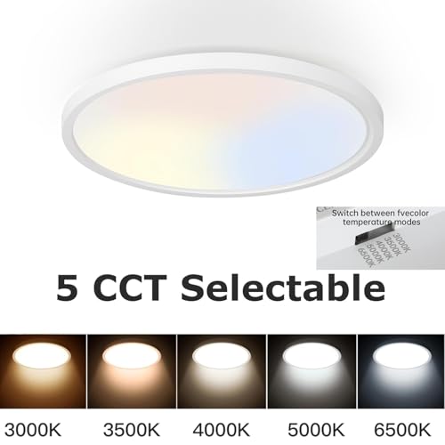 10 Inch LED Flush Mount Ceiling Light Fixture