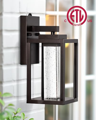 2 Pack Porch Lights Outdoor (2 Count)