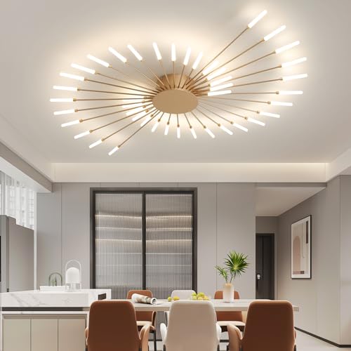 Modern Ceiling Light