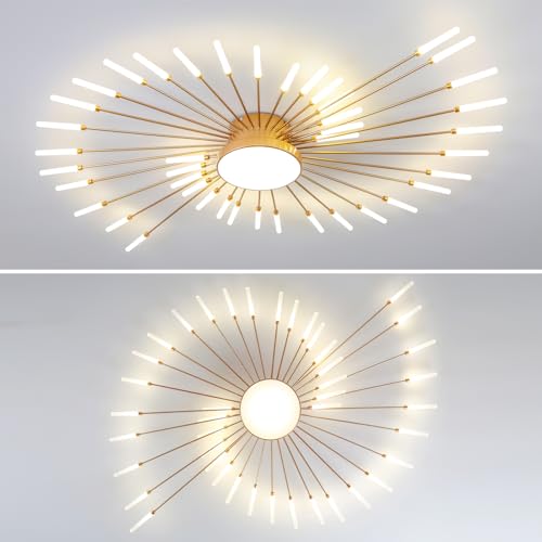 Modern Ceiling Light