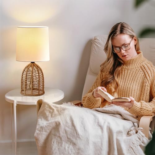Rattan Lamp Boho Lamps Set of 2 (2 Count)