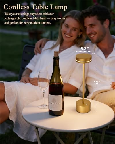 2 Pack LED Cordless Table Lamp Rechargeable (2 Count)