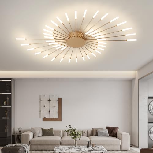Modern Ceiling Light