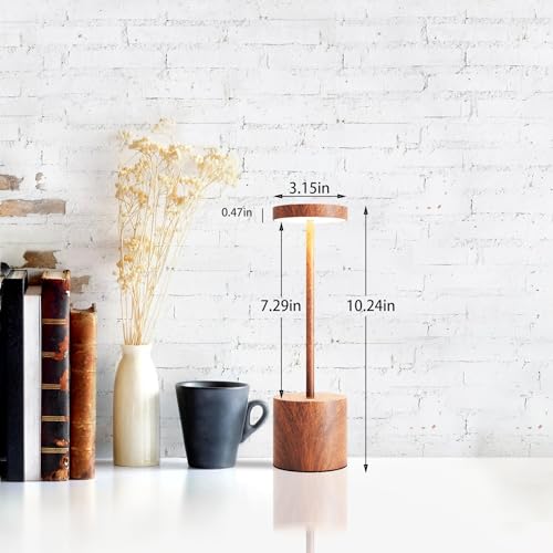 LED Cordless Table Lamps Set of 2
