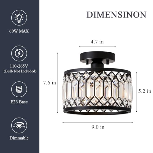 Crystal Black Ceiling Light