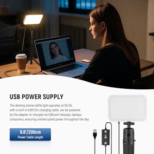 BASICS 2 Pack LED Video Panel Light