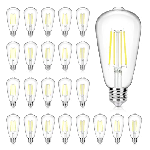 24 Pack Vintage LED Edsion Bulbs 100W Equivalent (24 Count)