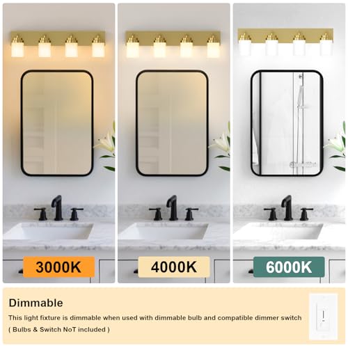 Bathroom Vanity Light Fixture