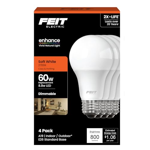 A19 LED Light Bulbs (4 Count)