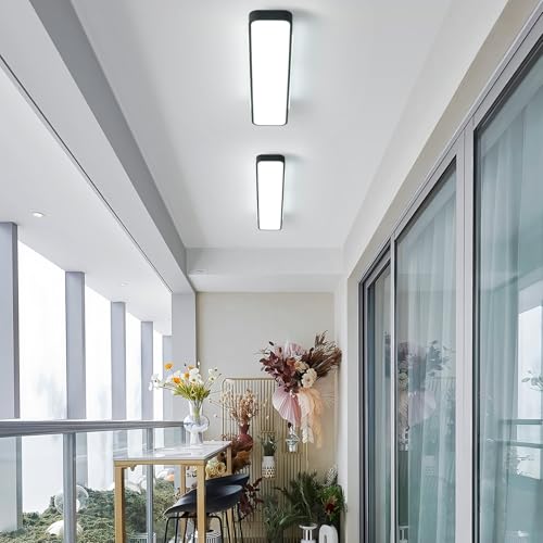 Modern LED Ceiling Light