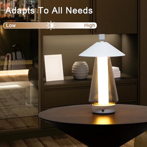 Set of 2 Stepless Dimmable Bedside Lamp 12" H LED Touch Table Lamp Nightstand Lamp with Grey Anodized Glass lampshade for Bedroom Living Room Indoors Outdoors（White (2 Count)