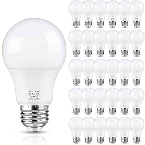 A19 LED Light Bulbs (30 Count)