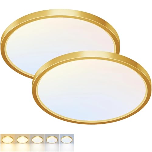 2 Pack LED Flush Mount Ceiling Light
