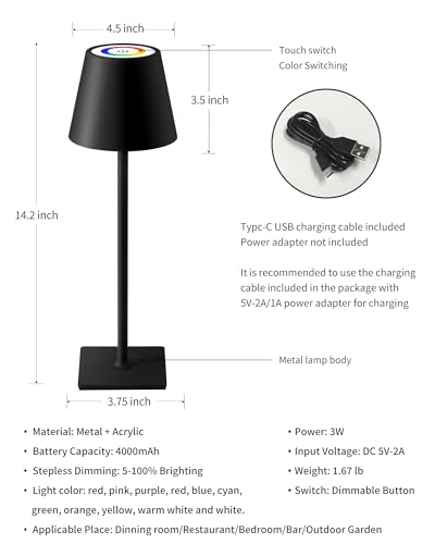 2 Pack Cordless Black Table Lamps (2 Count)