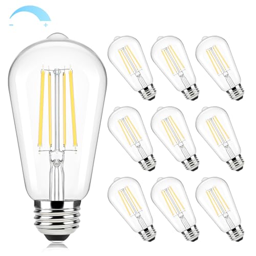 10 Pack Edison Bulbs 60W Equivalent (10 Count)