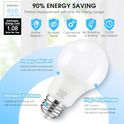 A19 LED Light Bulbs (35 Count)