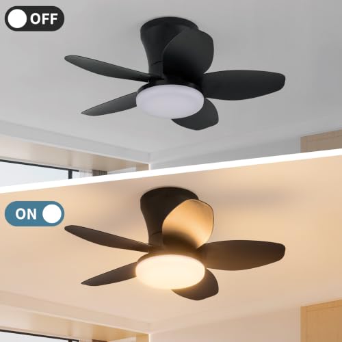 Small Ceiling Fan with Lights (25 Inch)