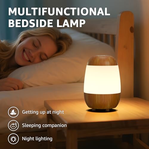 2 Pack Rechargeable Small Night Light Touch Dimmable Cordless Lamp