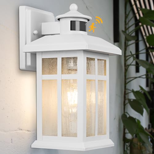 Dawn to Dusk Motion Sensor Exterior Wall Light Fixtures