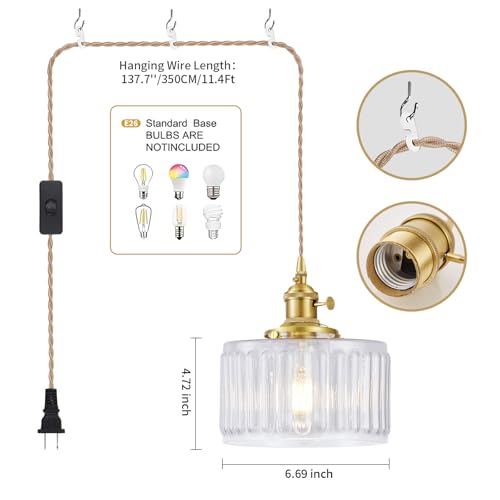 Plug in Pendant Light