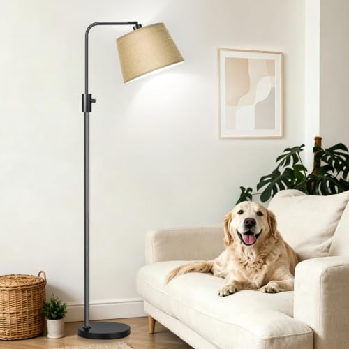 Dimmable Floor Lamp