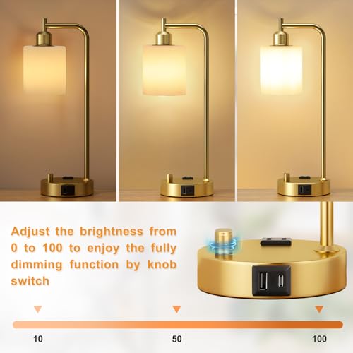 Industrial Table Lamps for Bedroom Set of 2 (2 Count)
