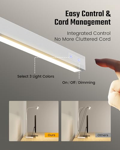 LED Desk Lamp for Home Office