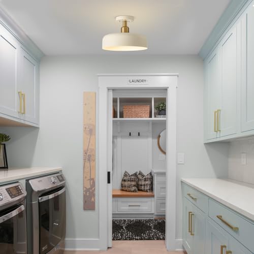 Semi Flush Mount Ceiling Light Fixture
