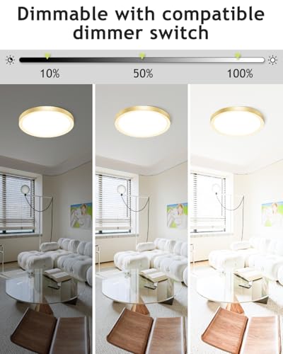 2PACK Flush Mount LED Ceiling Light Fixture Golden (2 Count)
