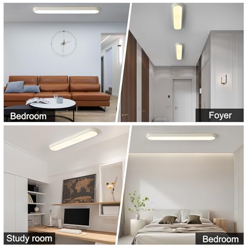 LED Ceiling Light
