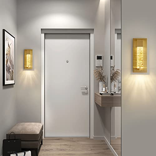 LED Wall Sconce Light